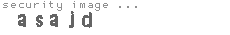 security image
