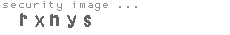 security image