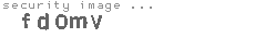 security image