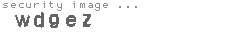 security image