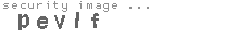security image