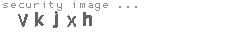 security image