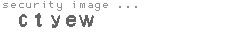 security image
