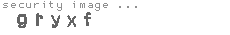 security image