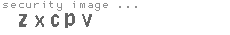security image