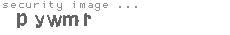 security image