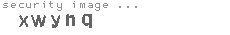 security image
