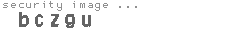 security image