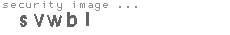 security image