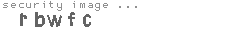 security image