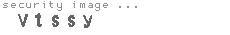 security image