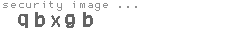 security image