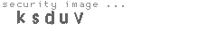 security image