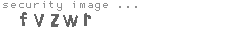 security image