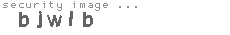 security image