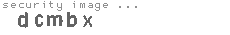 security image