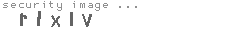 security image