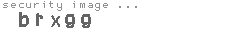 security image