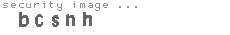 security image
