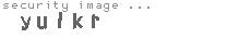 security image