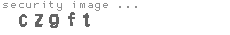 security image