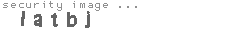 security image