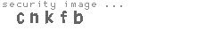 security image