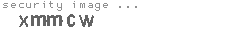 security image