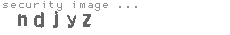 security image