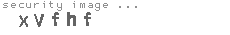 security image
