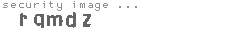 security image