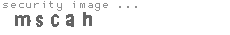 security image