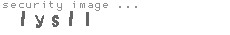 security image