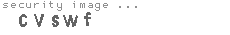 security image