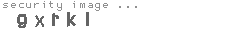 security image