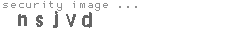 security image