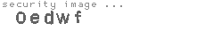 security image