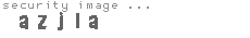 security image