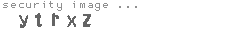 security image