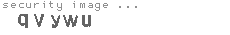 security image
