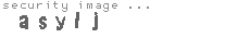 security image