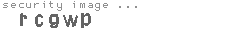 security image