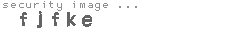 security image