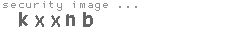 security image
