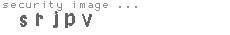 security image